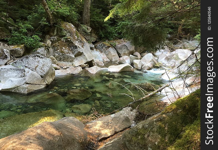 Water, Stream, Nature, Nature Reserve