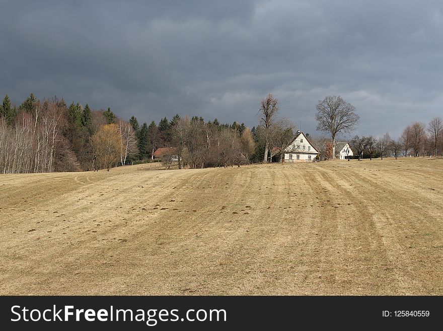 Field, Sky, Road, Tree