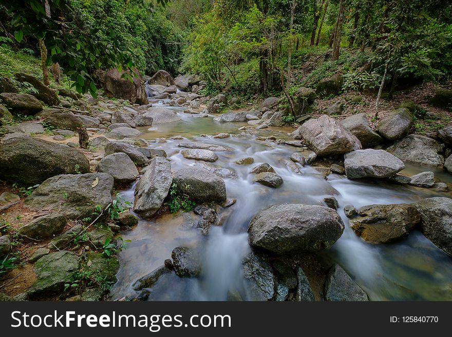 Stream, Water, Nature, Body Of Water