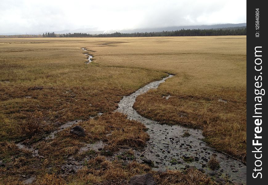 Wetland, Marsh, Tundra, Ecosystem