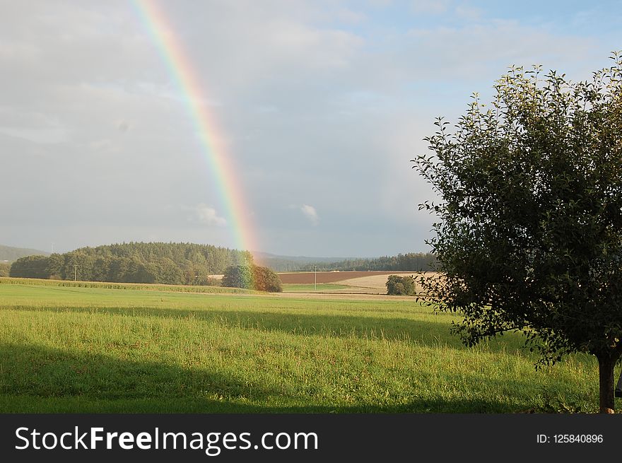 Rainbow, Field, Sky, Grassland