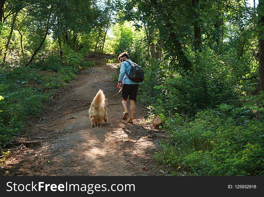 Man hiker walking up on a footpath in the forest with his dog on a sunny summer day, with a backpack on his spine. Back view.