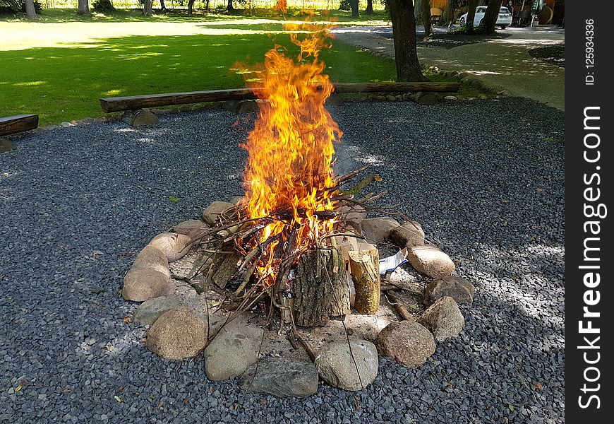 Fire, Tree, Campfire, Grass