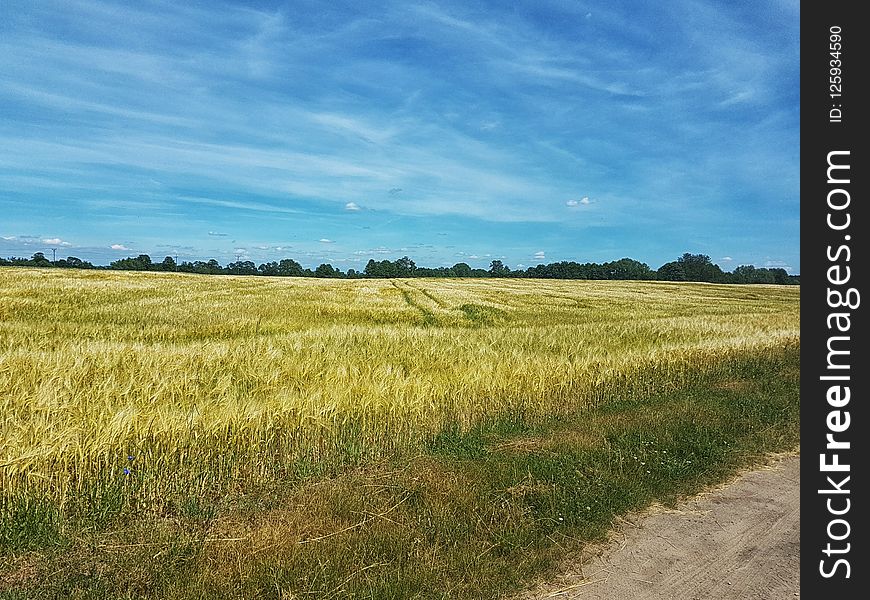 Grassland, Ecosystem, Prairie, Sky