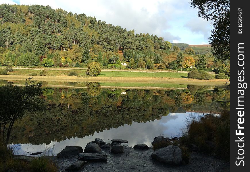 Nature, Reflection, Nature Reserve, Water