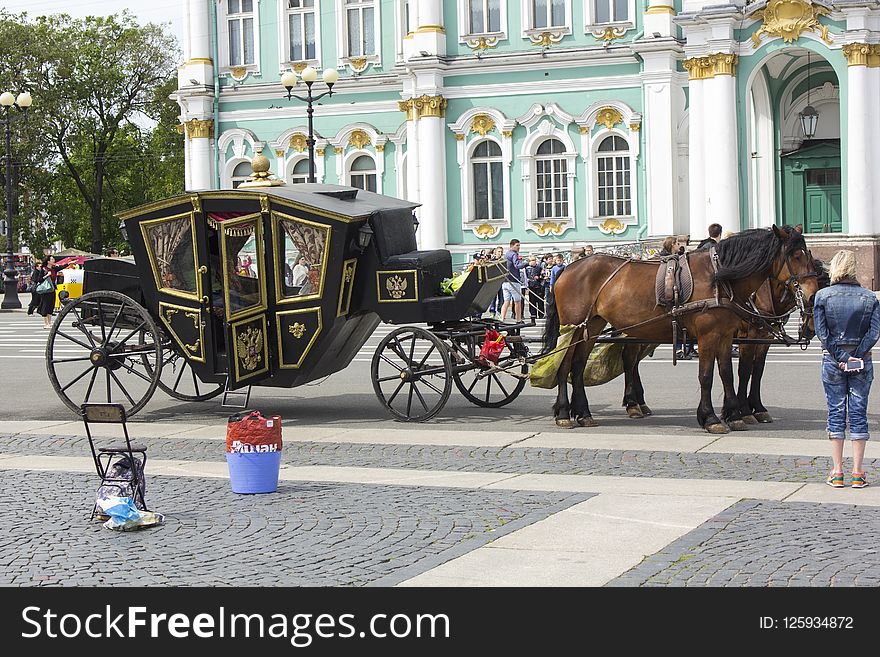 Carriage, Horse And Buggy, Mode Of Transport, Coachman