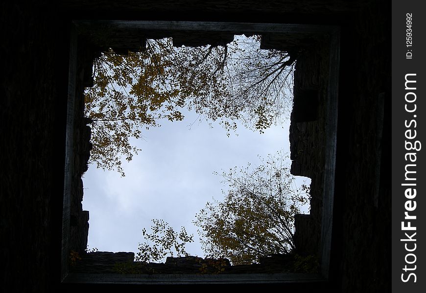 Sky, Window, Tree, Picture Frame