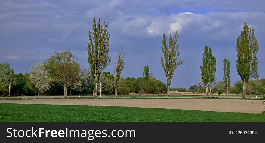 Sky, Tree, Field, Grassland