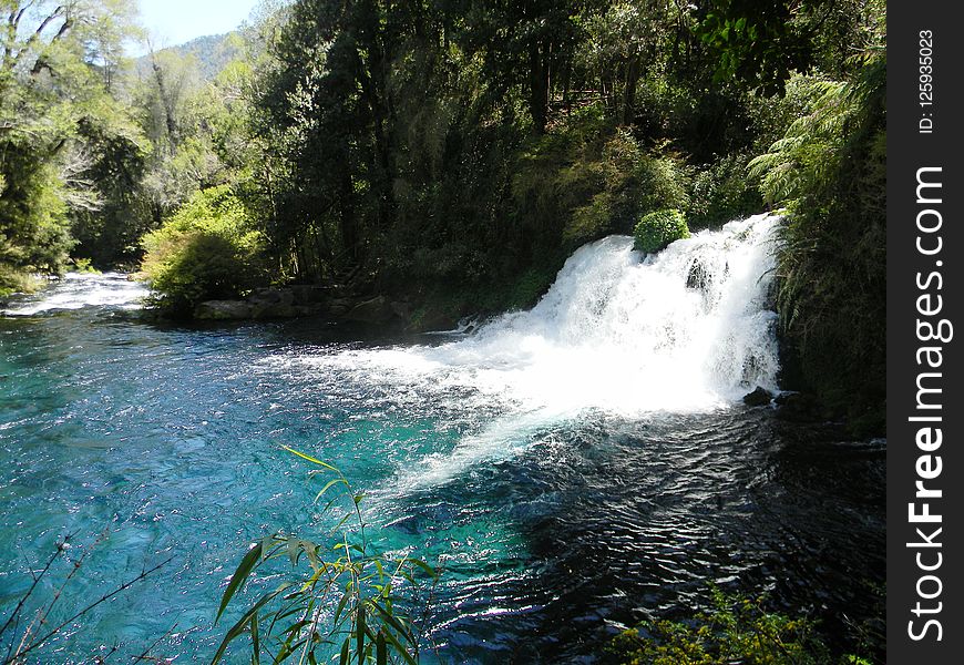 Water, Water Resources, Nature, Watercourse