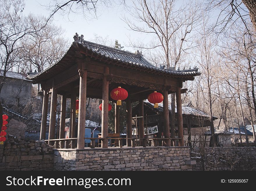 Chinese Architecture, Building, Tree, Shinto Shrine
