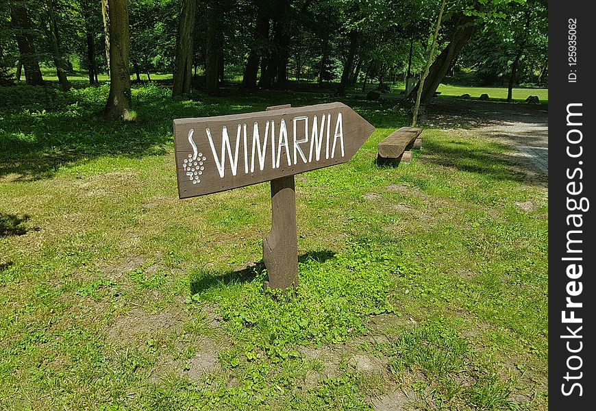 Nature Reserve, Path, Grass, Tree