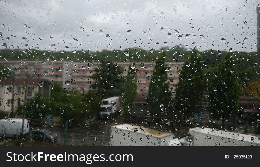 Rain, Residential Area, Suburb, Tree