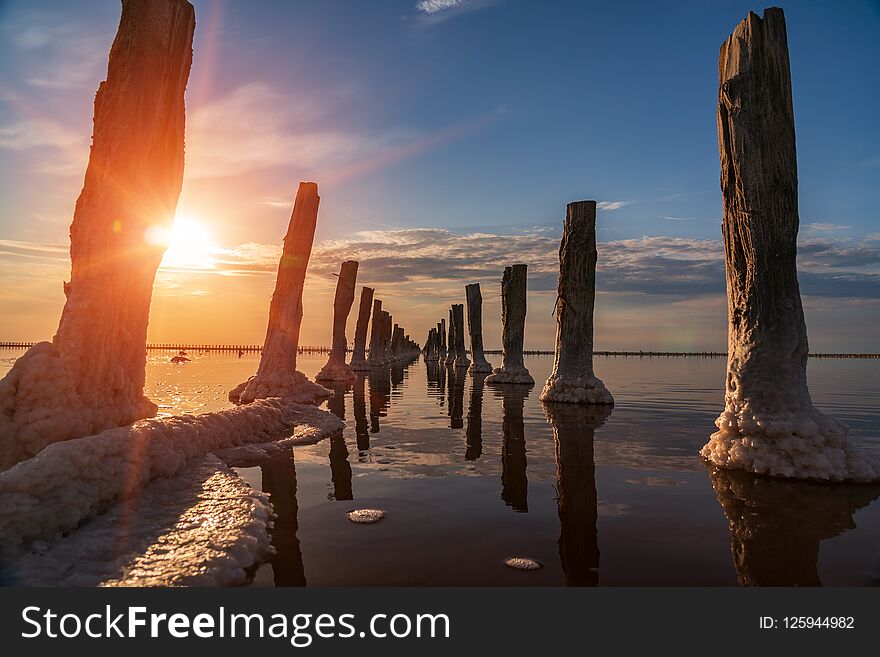 Sunset on a pink salt lake, a former mine for the extraction of pink salt. row of wooden pegs overgrown with salt.