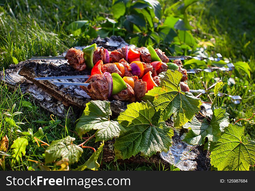 Shashlik On The Grass