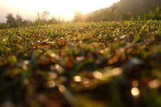 View Of Beautiful Sunrise Over Grass Field Cause Dew Bokeh In Nan, Thailand. Royalty Free Stock Images
