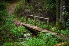 Wooden Bridge And Path In The Forest. Lithuania Royalty Free Stock Images