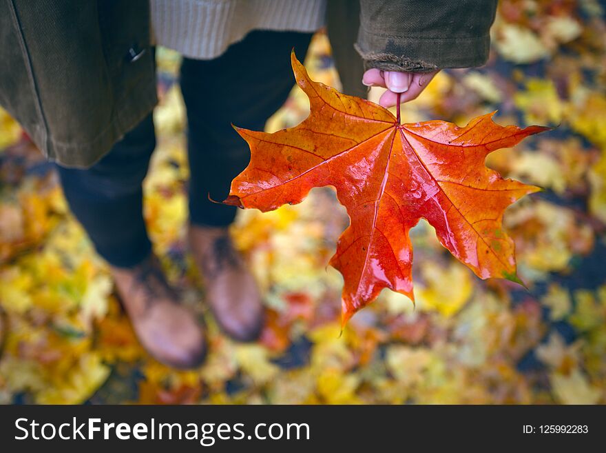 Autumn mood - teen girl holding a red maple leaf in her hand. Autumn mood - teen girl holding a red maple leaf in her hand