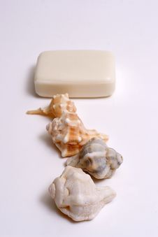 SPA Items -soap And Seashell Royalty Free Stock Image