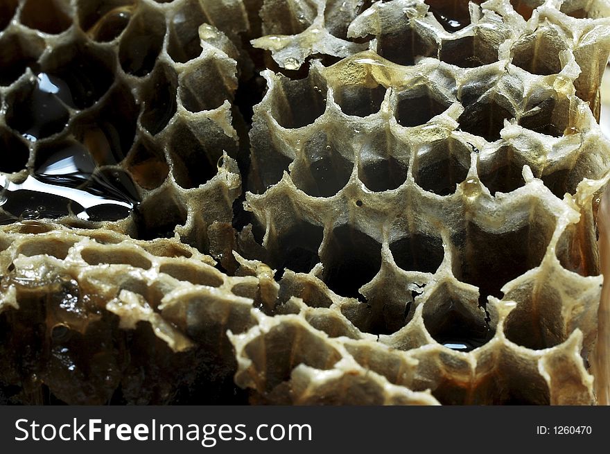 Honeycomb from the beehive macro