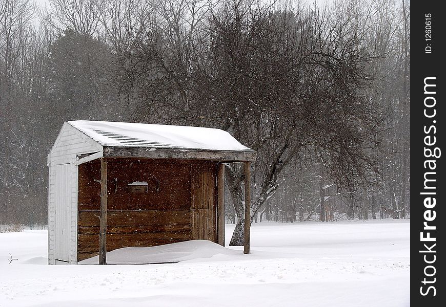 A humble little shed in the midst of a blizzard. Notice the tree columns. A humble little shed in the midst of a blizzard. Notice the tree columns.