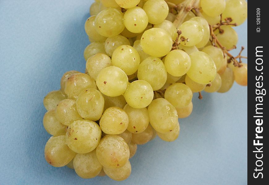 White grapes on a blue background