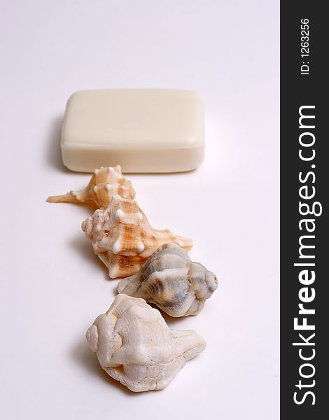 SPA Items - isolated soap and seashell. SPA Items - isolated soap and seashell