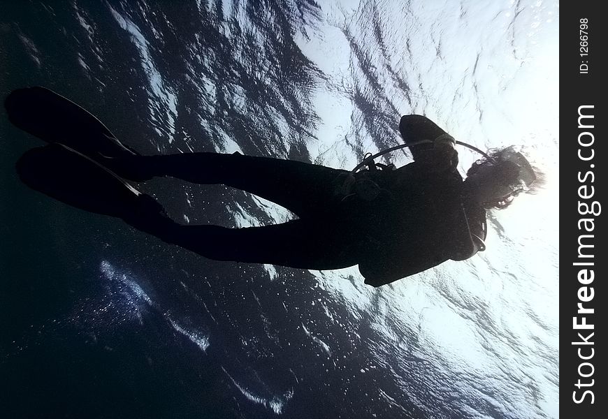 Silhouette of the diver against water surface. Silhouette of the diver against water surface