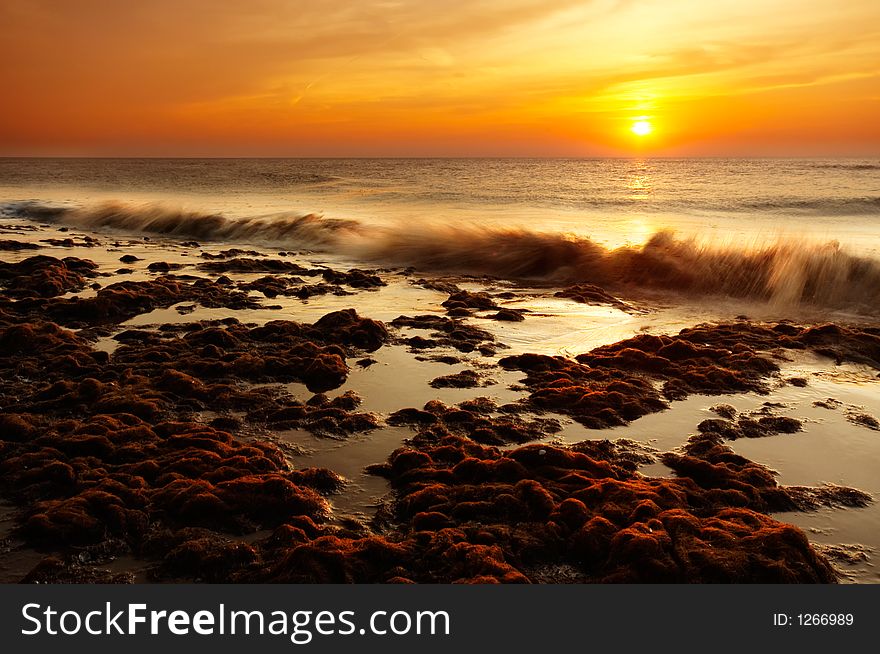 The beach at night seen through a wide angle lens. The beach at night seen through a wide angle lens