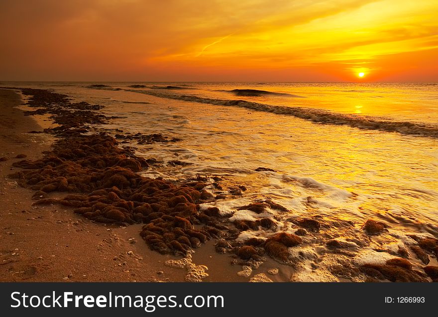 The beach at night seen through a wide angle lens. The beach at night seen through a wide angle lens