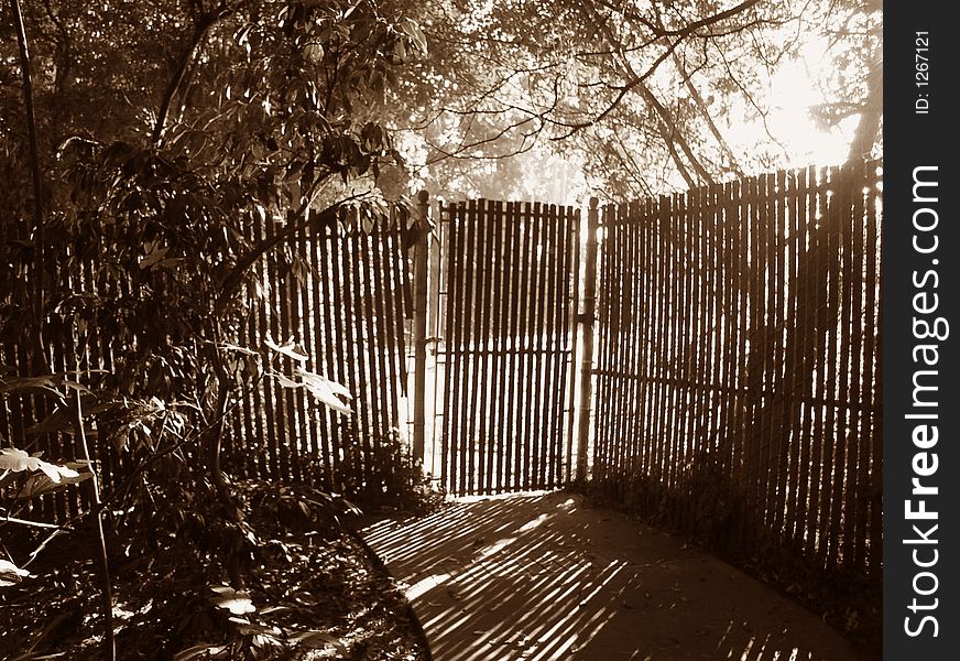 Sun rays shining through a fence. Sun rays shining through a fence