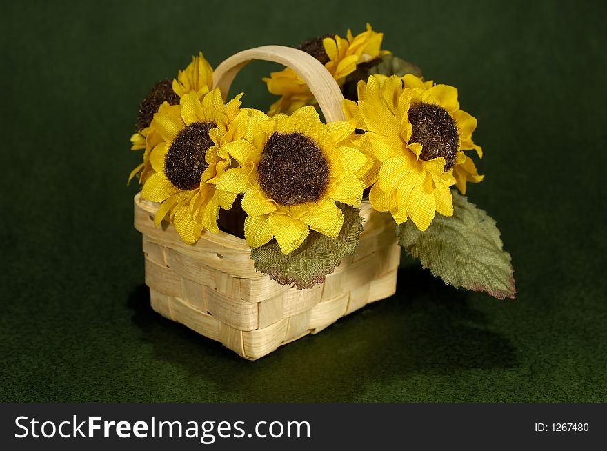 Photo of a Flower Basket