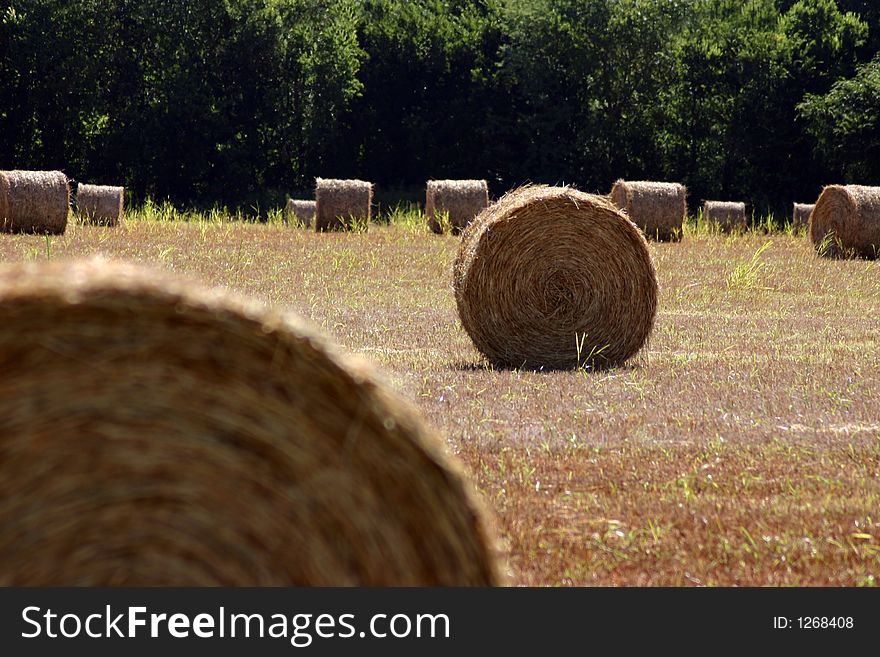 A photograph taken of a field in Oklahoma. A photograph taken of a field in Oklahoma
