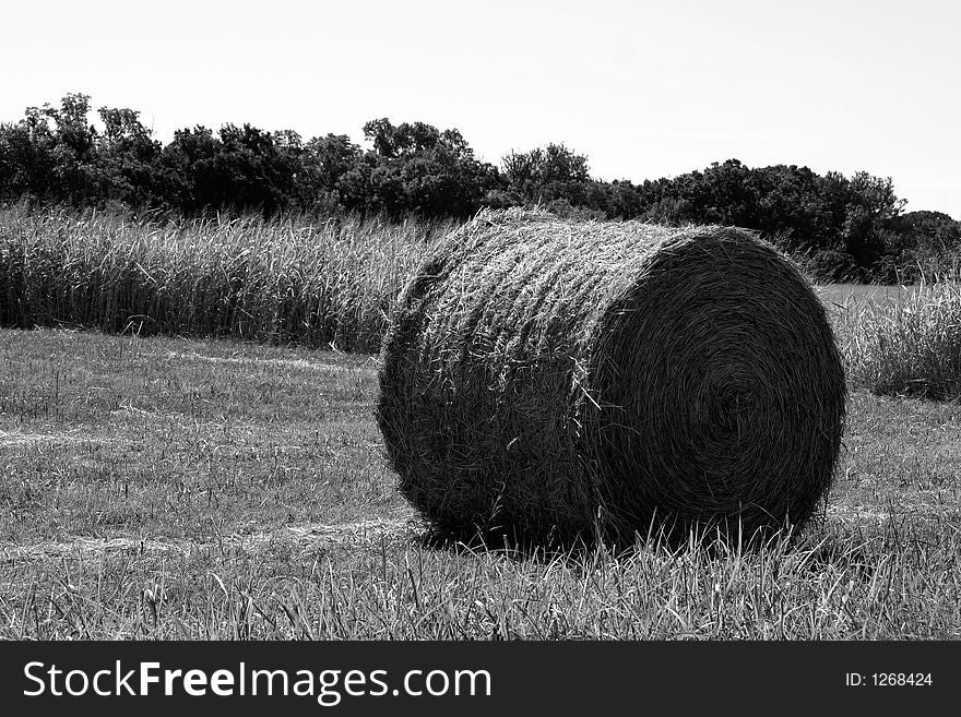 A photograph taken of a field in Oklahoma. A photograph taken of a field in Oklahoma.