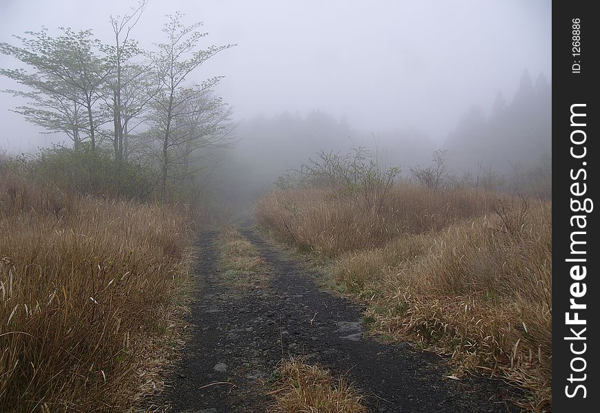 Autumnal misty mountain road, Japan