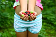 Berries And Fruit. Ripe Fruit In The Palm Of A Young Girl. Top View, Authentic Lifestyle Image. Seasonal Harvest Crop Local Produc Royalty Free Stock Photography