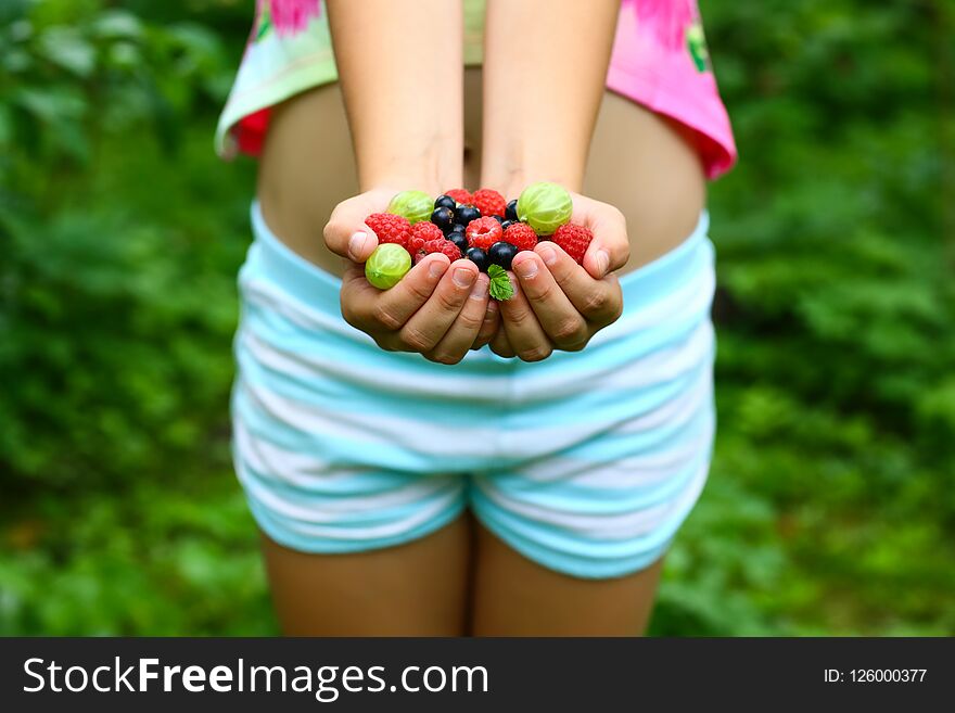 Berries and fruit. Ripe fruit in the palm of a young girl. Top view, Authentic lifestyle image. Seasonal harvest crop local produce concept.