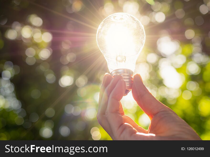 Hand holding light bulb in nature on green background for energy concept.