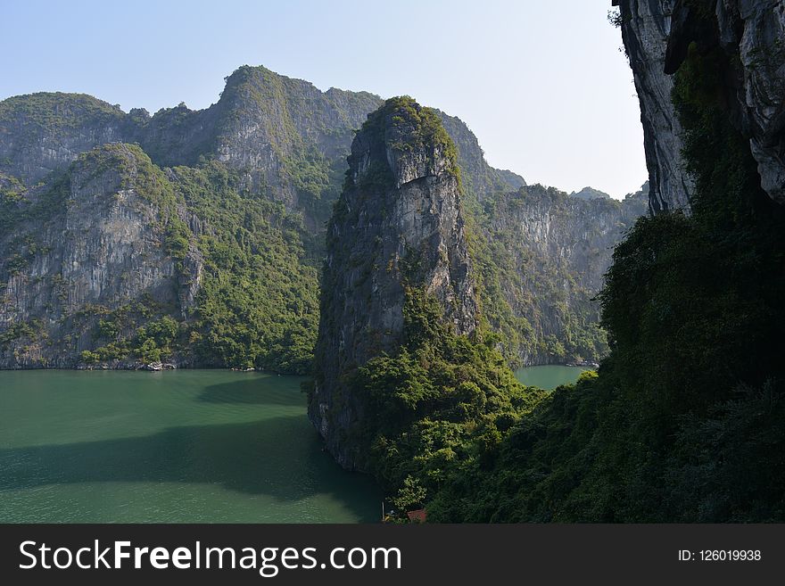 Nature, Nature Reserve, Mount Scenery, Highland