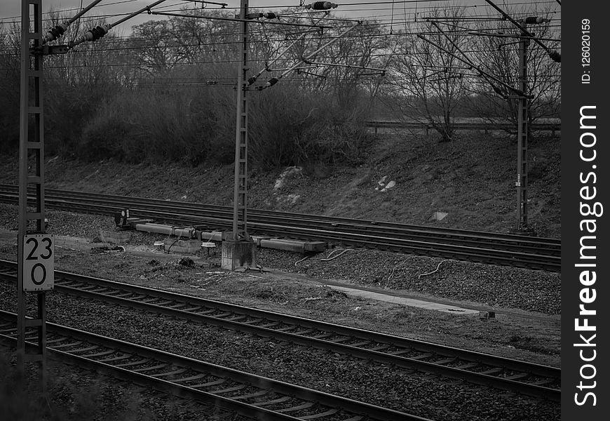 Track, Black And White, Rail Transport, Tree