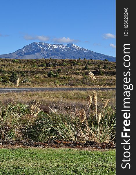 Sky, Vegetation, Ecosystem, Grassland