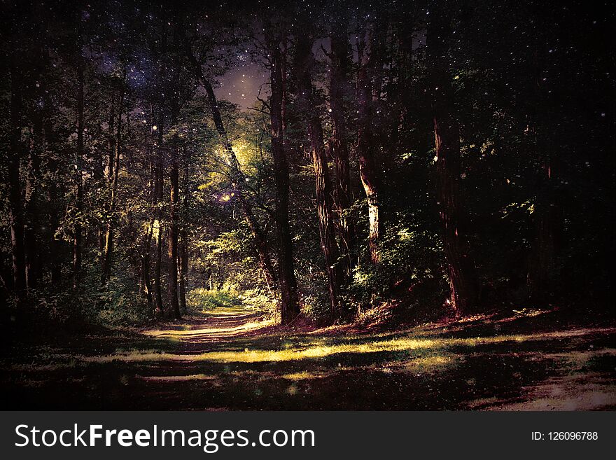 Magic forest with footpath, starry sky and light reflections. Magic forest with footpath, starry sky and light reflections