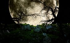 Spooky Scene At Night Royalty Free Stock Photography