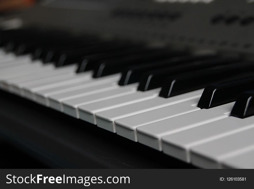 Piano, Musical Instrument, Keyboard, Digital Piano