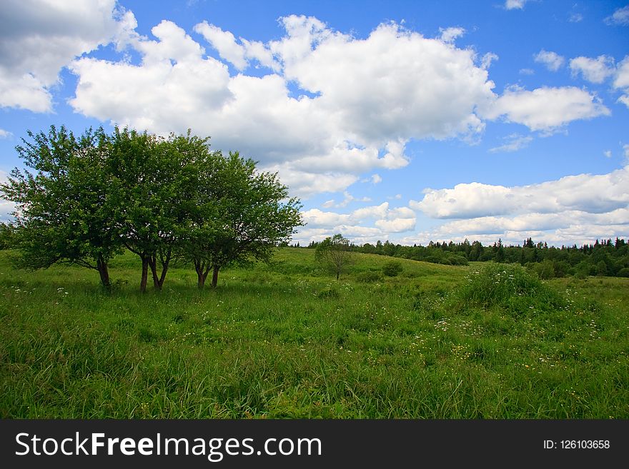 Sky, Grassland, Cloud, Vegetation