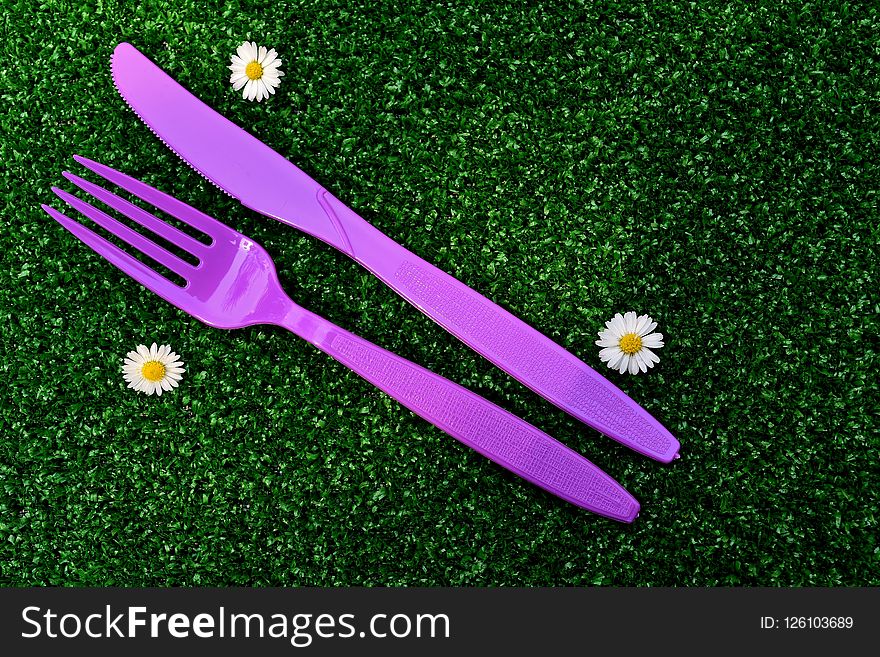 Flower, Purple, Grass, Flora