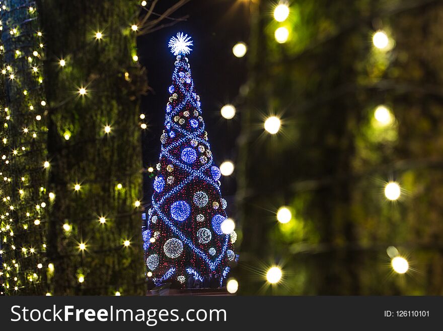 Christmas light bulbs, decorations on houses and Christmas trees. Christmas light bulbs, decorations on houses and Christmas trees