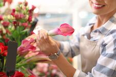 Female Florist Working In Flower Shop Royalty Free Stock Photos