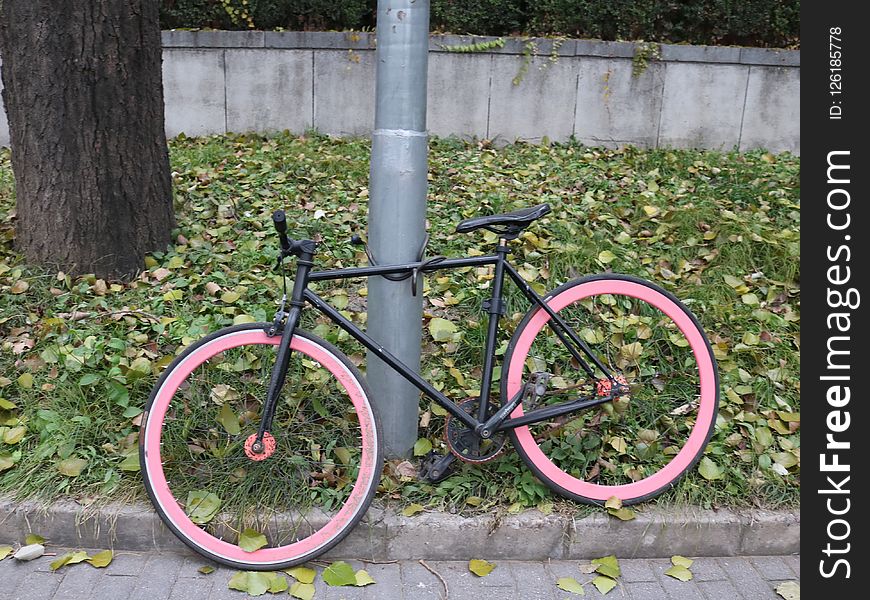 Bicycle, Road Bicycle, Bicycle Frame, Bicycle Wheel