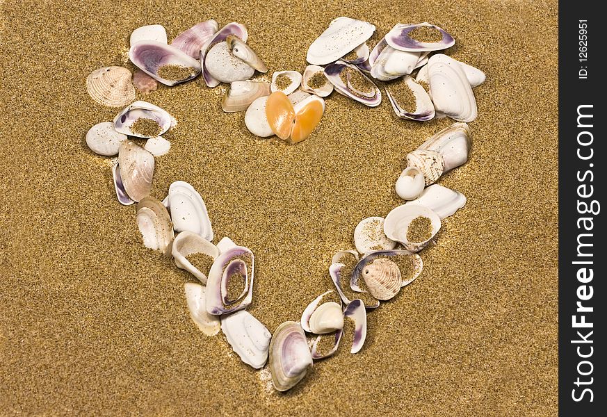 Heart made of colorful shells. Heart made of colorful shells