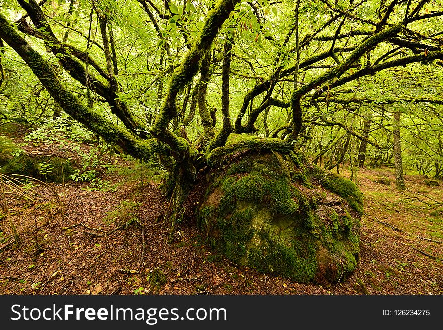 Treking for the Lesser Caucasus